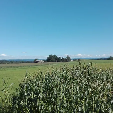 Prázdninový dům Island Pferdehof Arrisholt Solskin